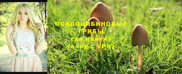 марки nbome Нефтегорск