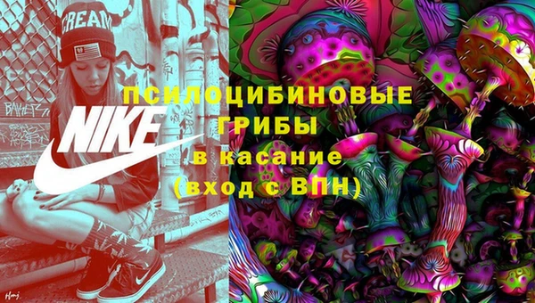 молекула духа Нея