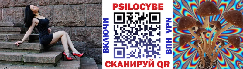 Псилоцибиновые грибы Psilocybine cubensis  Тетюши 