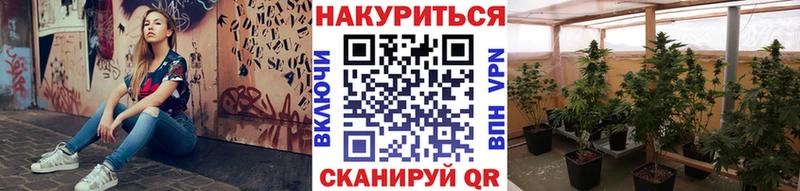 Конопля VHQ  shop какой сайт  Тетюши  купить закладку 
